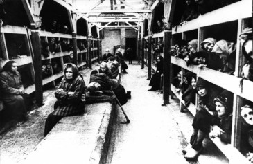 Auschwitz-Birkenau: dziaalno Muzeum i Stowarzyszenia Romw w Polsce.